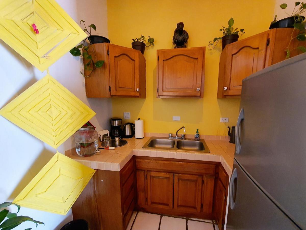 Adventure Inn La Paz Εξωτερικό φωτογραφία