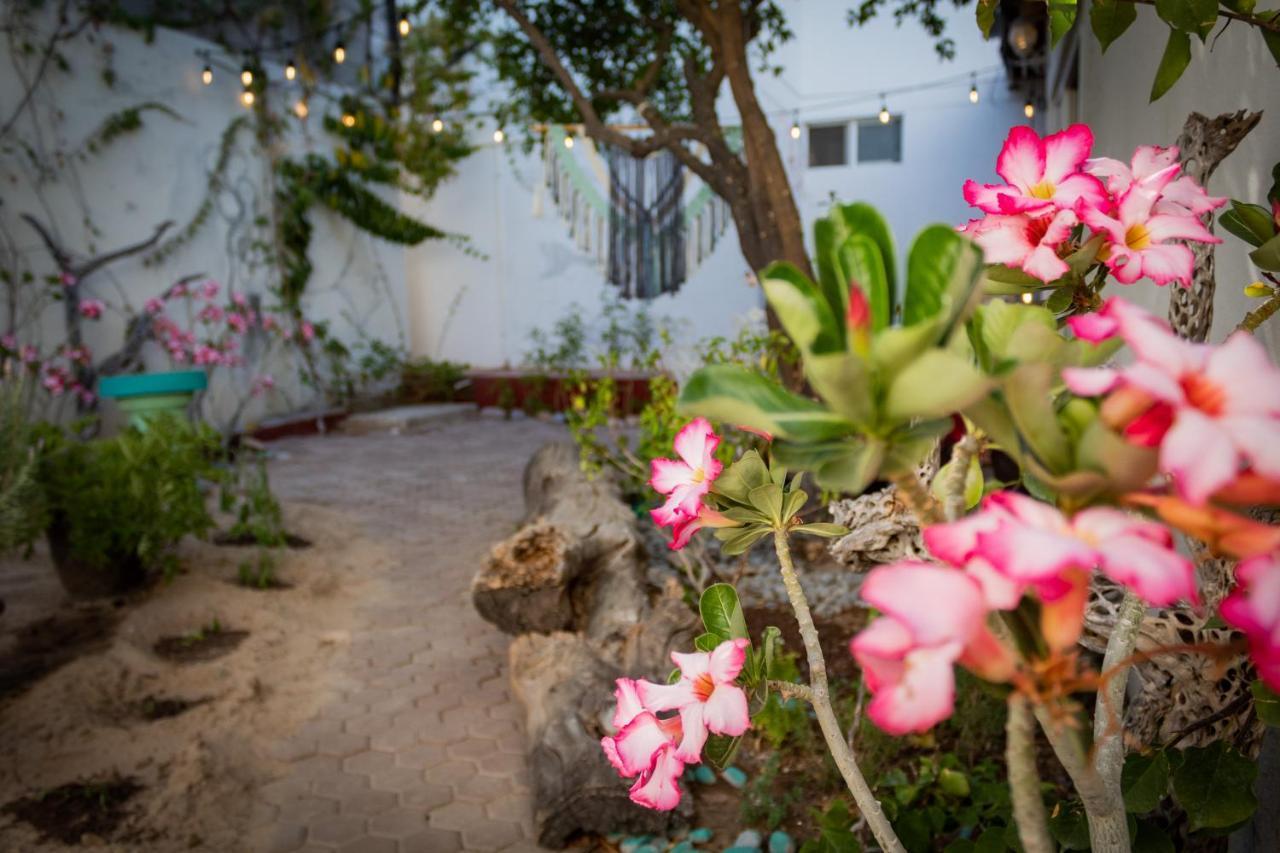 Adventure Inn La Paz Εξωτερικό φωτογραφία