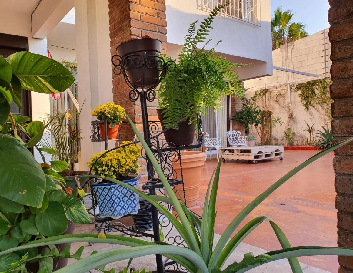 Adventure Inn La Paz Εξωτερικό φωτογραφία